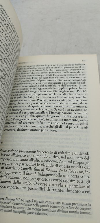leweis l'allegoria d'amore saggio sulla tradizione medievale einaudi