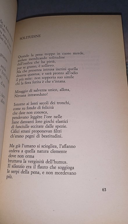 lionello fiumi 49 poeise | Immagine Gallery 5