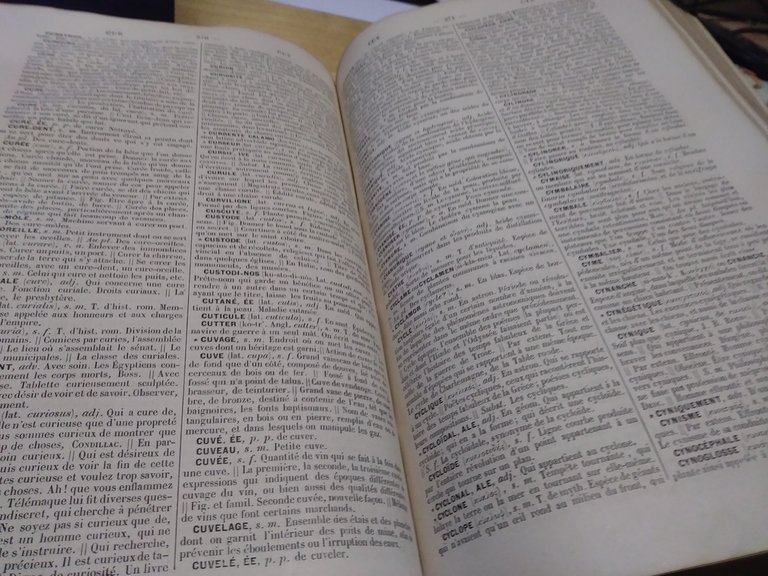 littre et beaujean dictionnaire de la langue francaise 1876