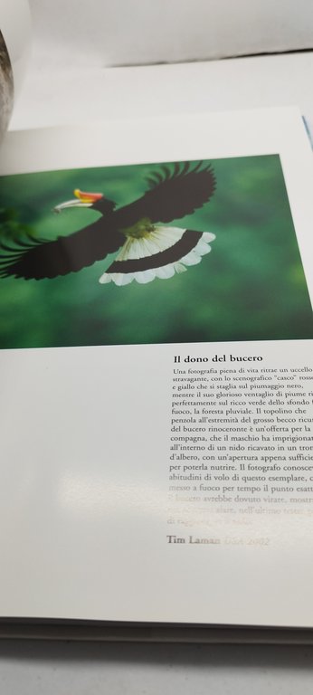 luci sulla terra vent'anni di immagini vincenti