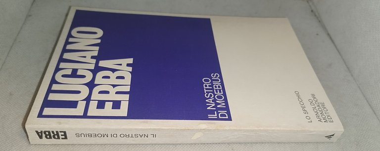 luciano erba il nastro di moebius | Immagine Gallery 4