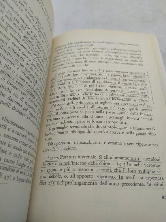 ludovico radicati di brozolo la potatura pratica delle piante da …