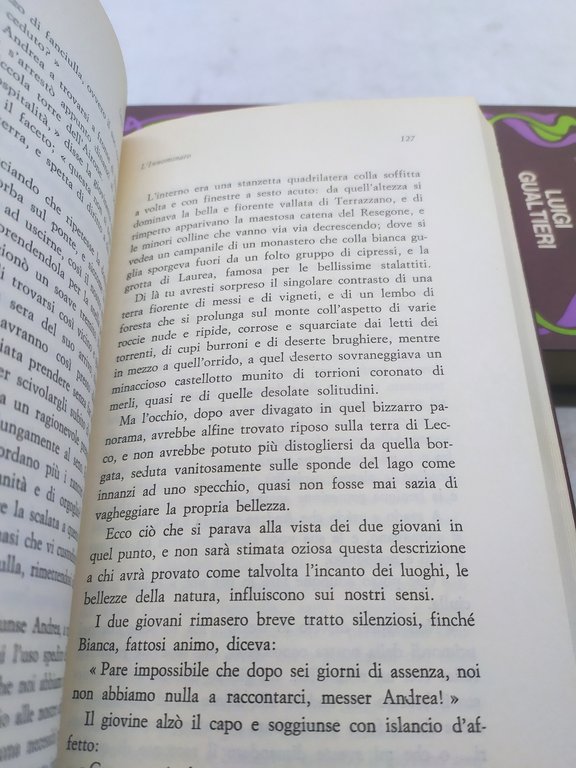 luigi gualtieri l'innominato 2 volumi biblioteca romantica bietti