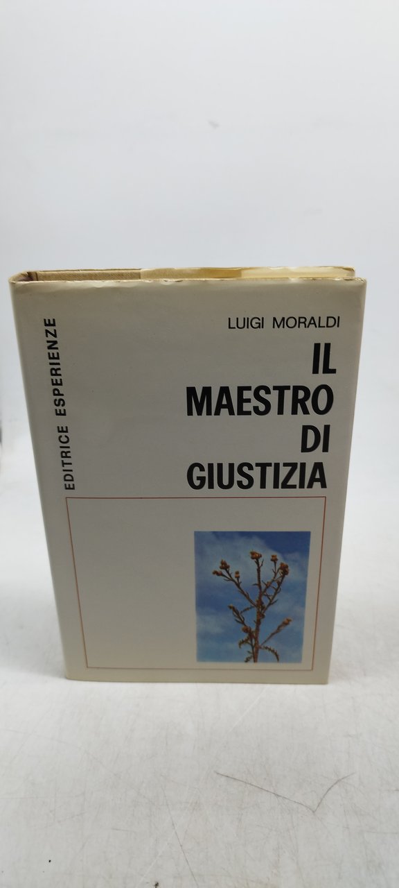 luigi moraldi il maestro di giustizia