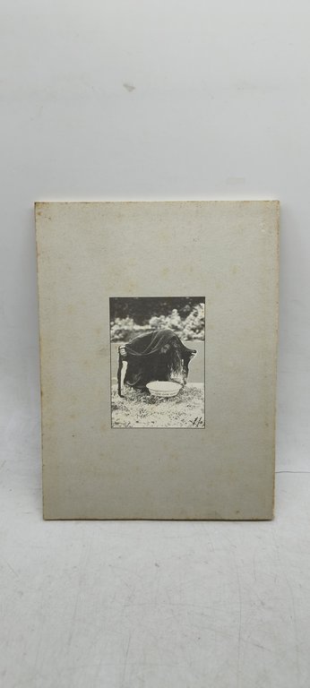 luigi privitello fumenta d'ardicula masculidda