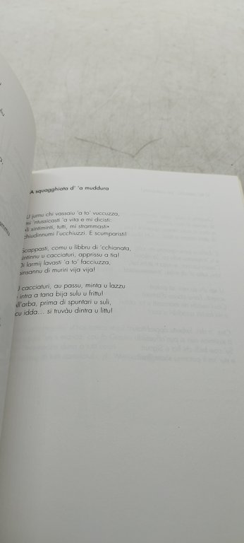 luigi privitello fumenta d'ardicula masculidda