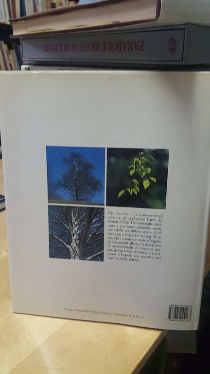 magia dell'albero fabbri editori grandi alberi d'europa in natura e …