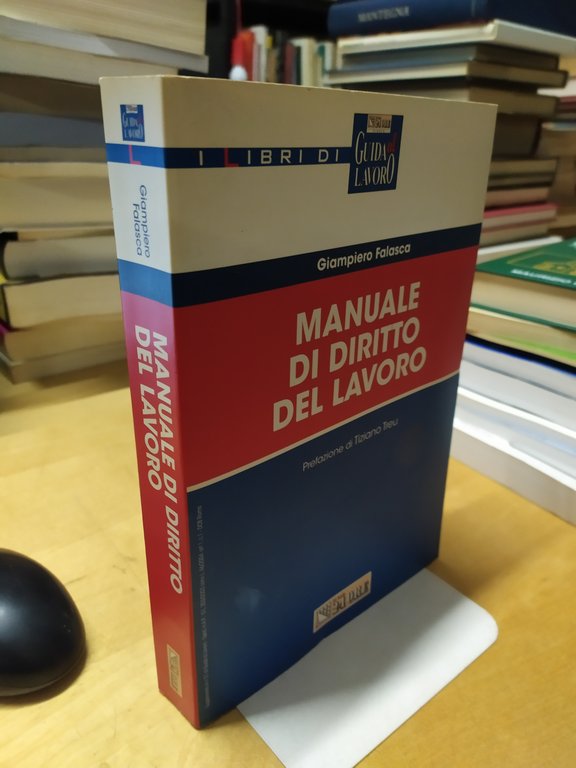 manuale di diritto del lavoro gianpiero falasca il sole 24 …