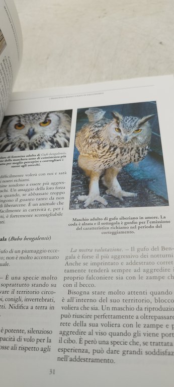 manuale pratico di falconeria