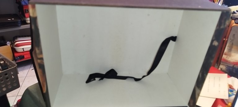 marcel proust alla ricerca del tempo perduto + album proust | Immagine Gallery 4