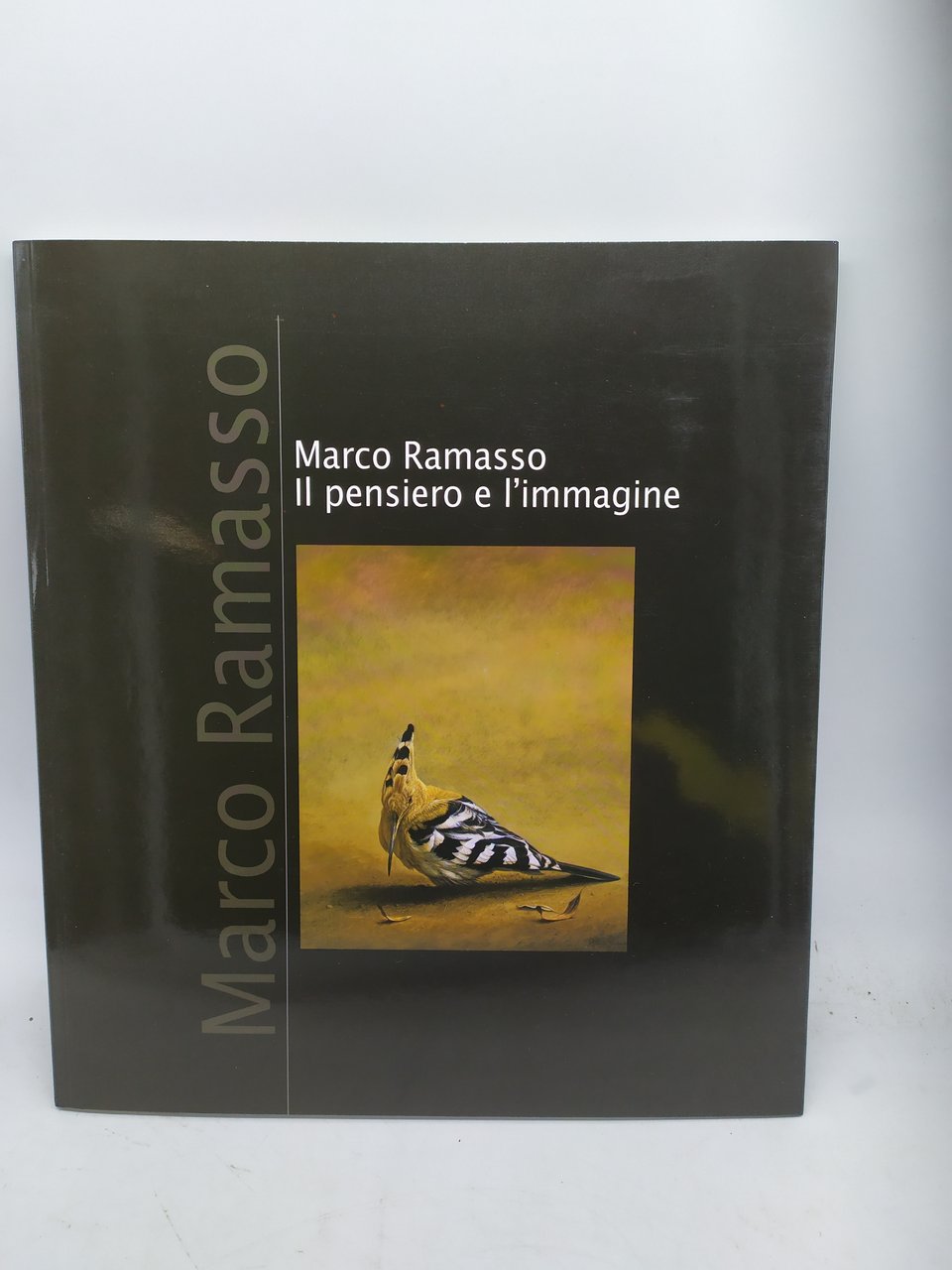 marco ramasso il pensiero e l'immagine