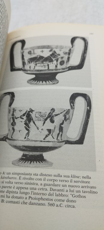 maria luisa catoni bere vino puro immagini del simposio