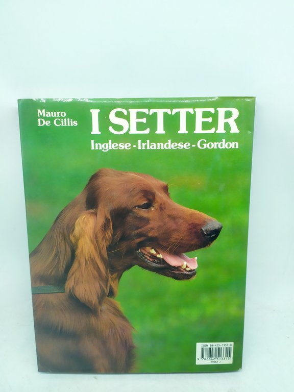 mauro de cillis i setter inglese irlandese gordon