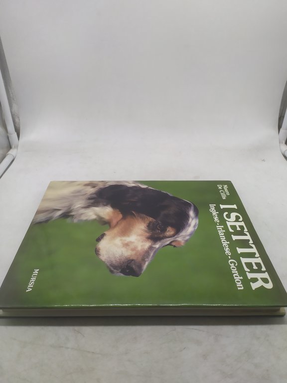 mauro de cillis i setter inglese irlandese gordon