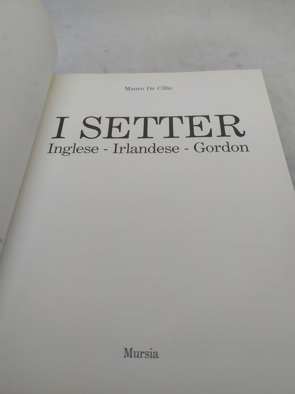 mauro de cillis i setter inglese irlandese gordon