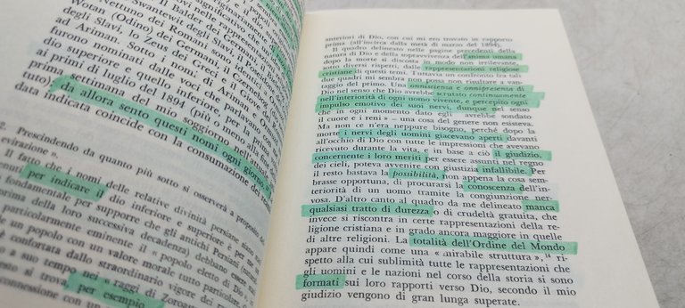 memorie di un malato di nervi adelphi