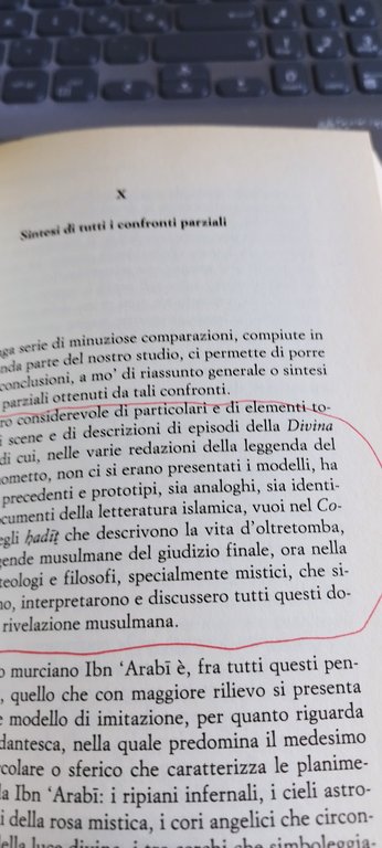 miguel asin palacios dante e l'islam est