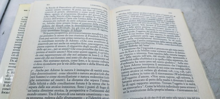 minima moralia meditazioni della vita offesa einaudi