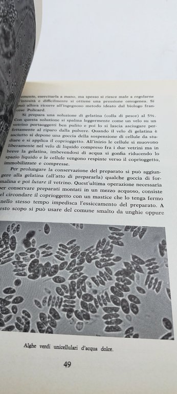 mondo al microscopio