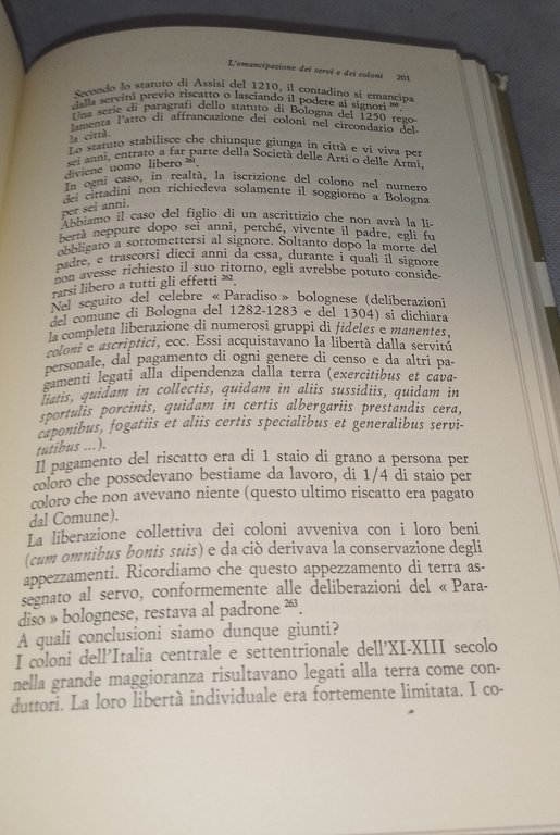 mondo contadino e città in italia dall'XI al XIV secolo | Immagine Gallery 5