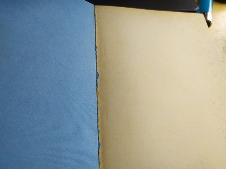 monique witting il corpo lesbico edizioni delle donne