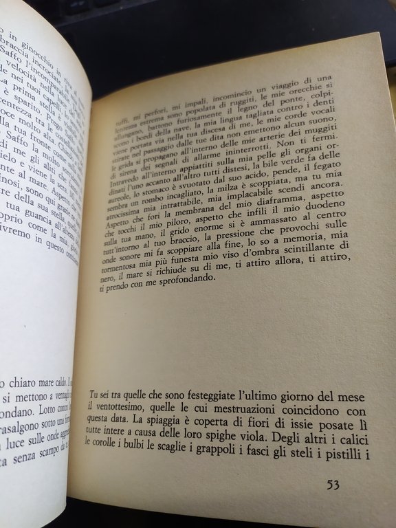 monique witting il corpo lesbico edizioni delle donne