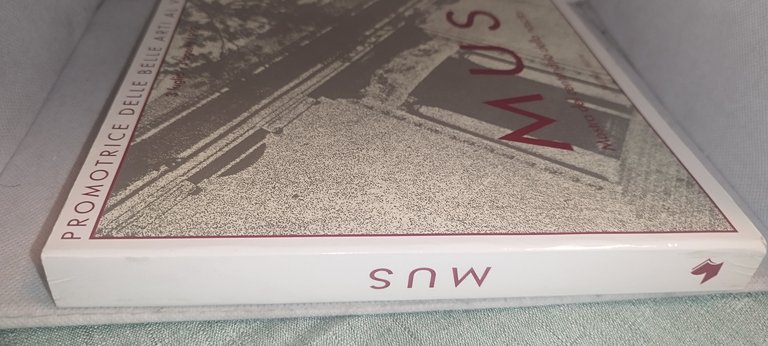 mus mostra del centenario della nascita | Immagine Gallery 3