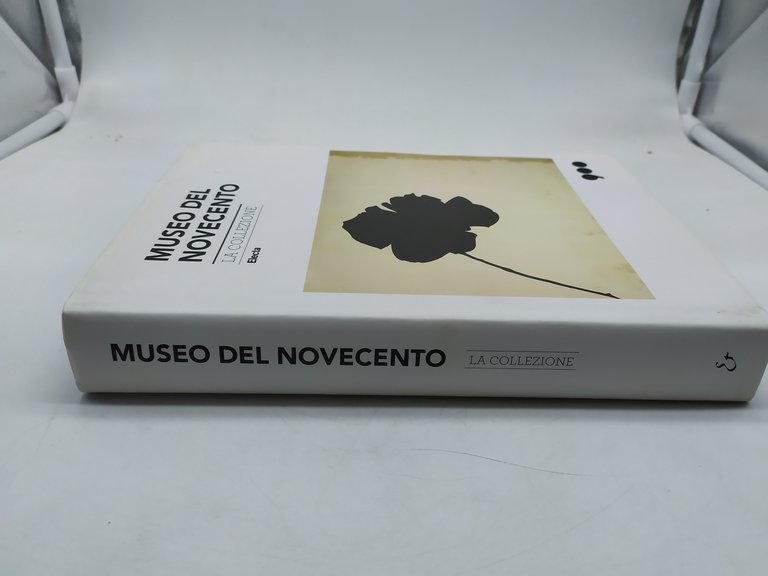 museo del novecento la collezione electa