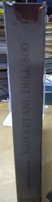 napoletani dell'800 raffello causa montanino