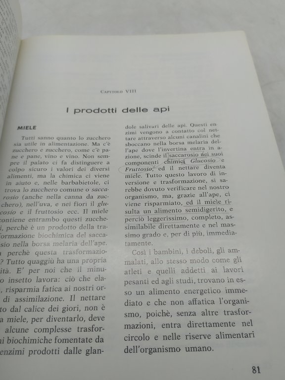 nel mondo delle api 2^edizione giuseppe da roccarainola