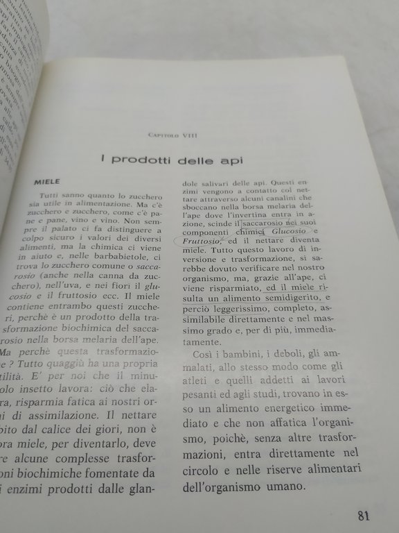 nel mondo delle api 2^edizione giuseppe da roccarainola