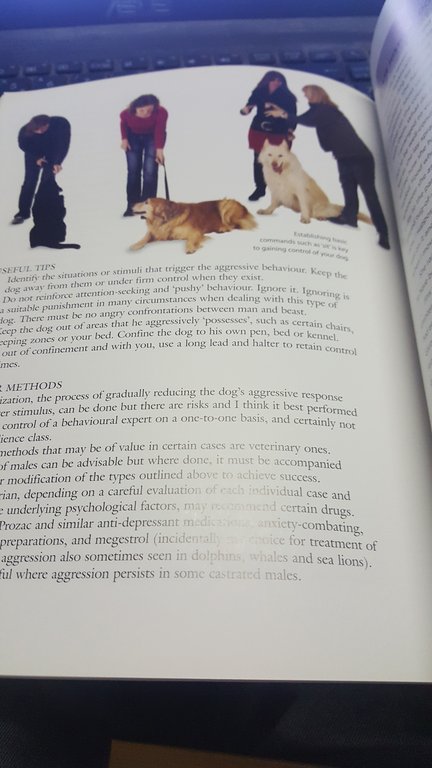 old dog new tricks david taylor understanding and retraining elderly