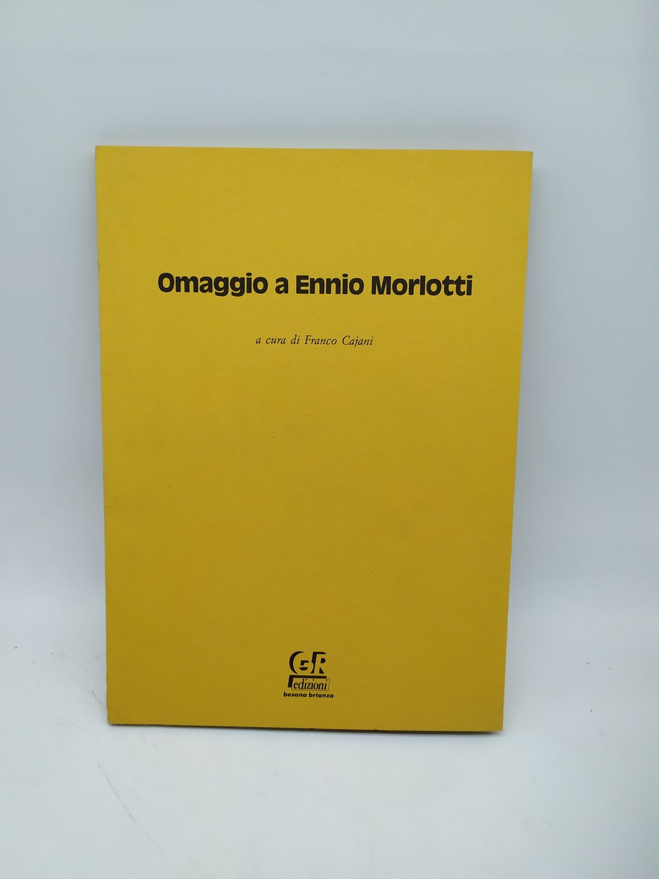 omaggio a ennio morlotti a cura di franco cajani