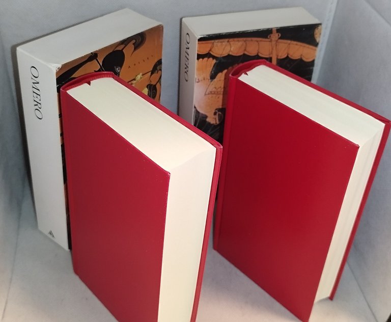 omero iliade + odissea i classici collezione mondadori | Immagine Gallery 5