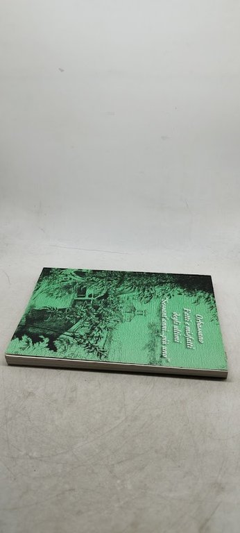 orbassano fatti e misfatti degli ultimi sessant'anni piu uno