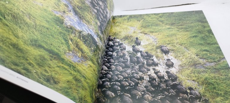 orizzonti africani national gegraphic