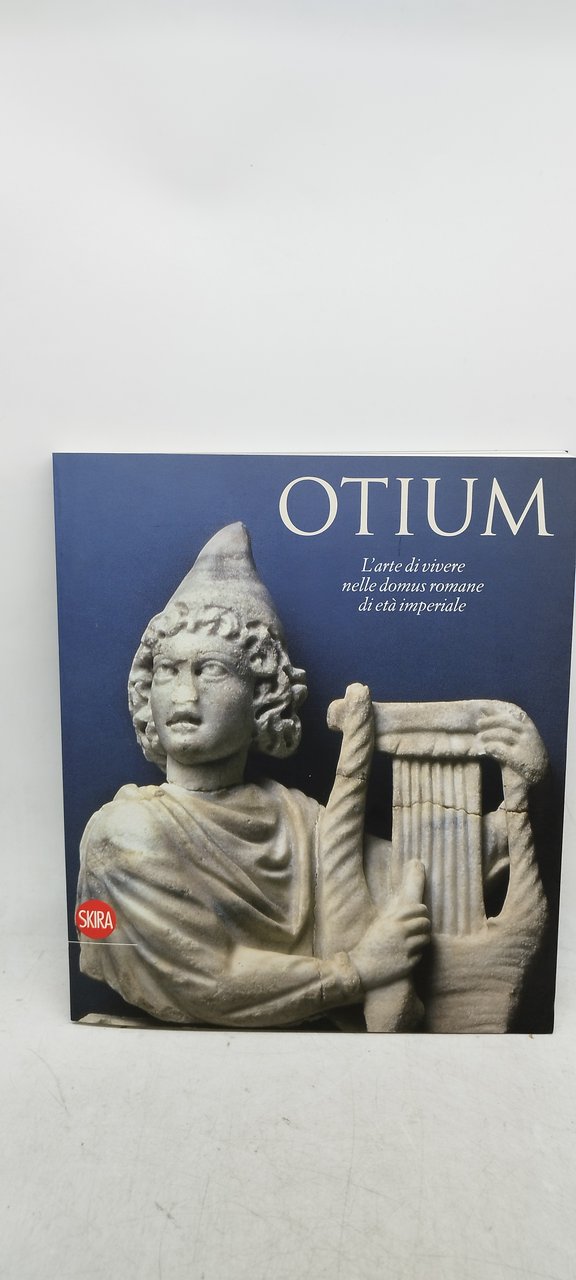 otium l'arte di vivere nelle domus romane di età imperiale