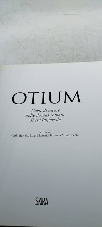 otium l'arte di vivere nelle domus romane di età imperiale