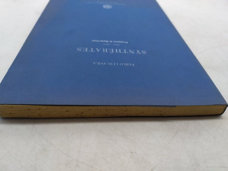 pablo luis avila synthèrates 1975-1979 prefazione di maria corti pesce …