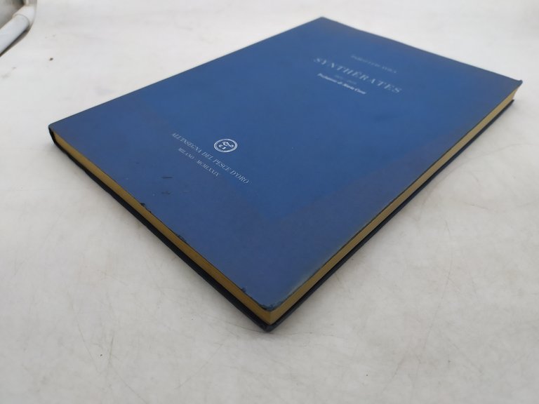 pablo luis avila synthèrates 1975-1979 prefazione di maria corti pesce …