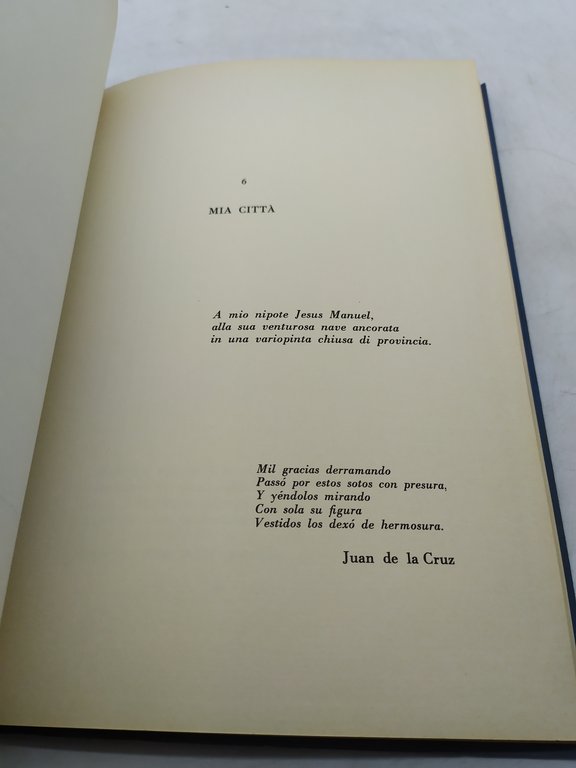 pablo luis avila synthèrates 1975-1979 prefazione di maria corti pesce …
