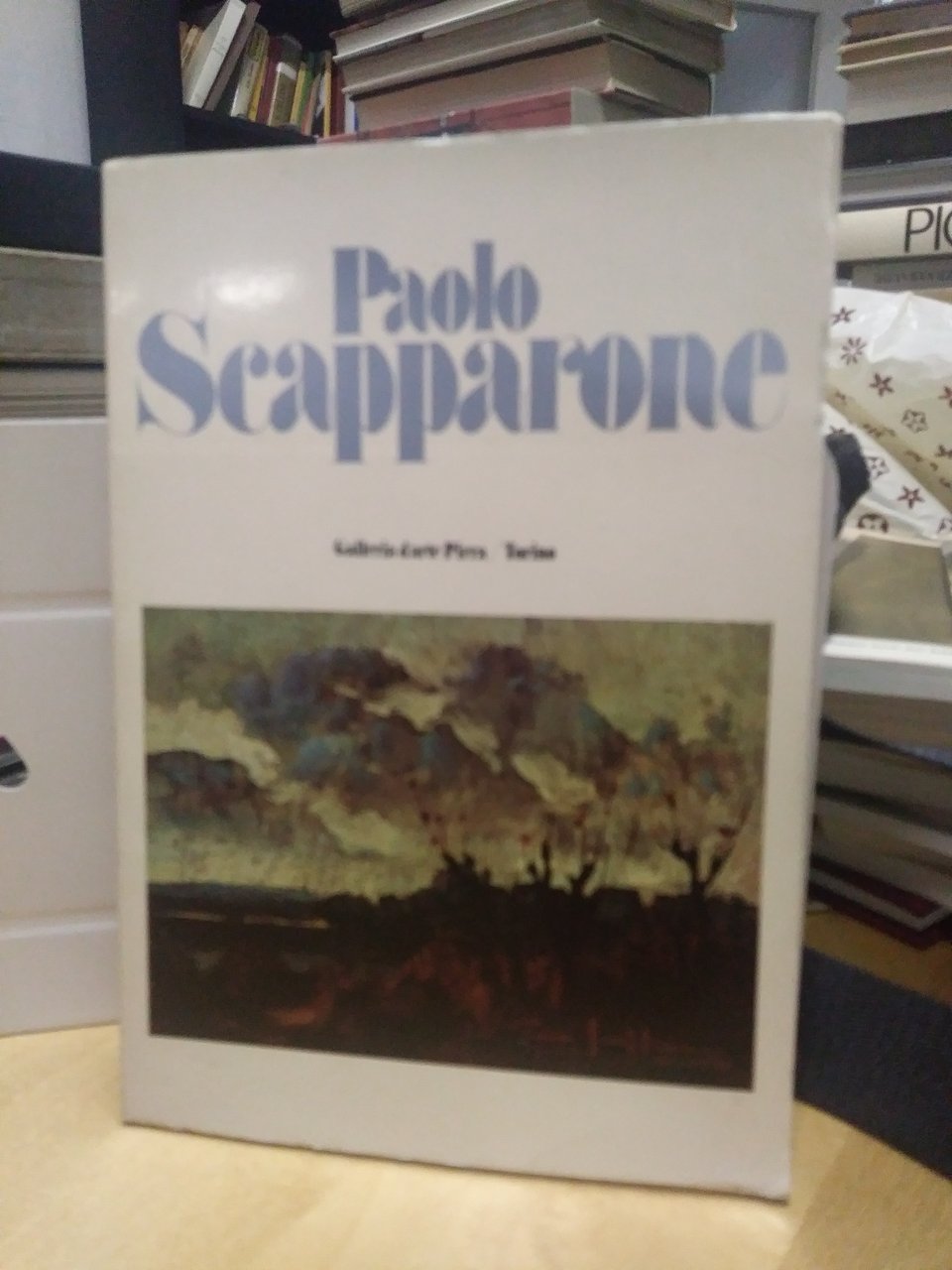 paolo scapparone galleria d'arte pirra torino