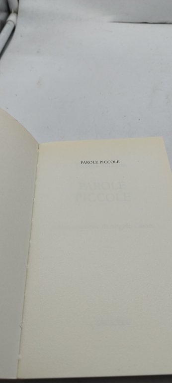 parole piccole tiziana soragna