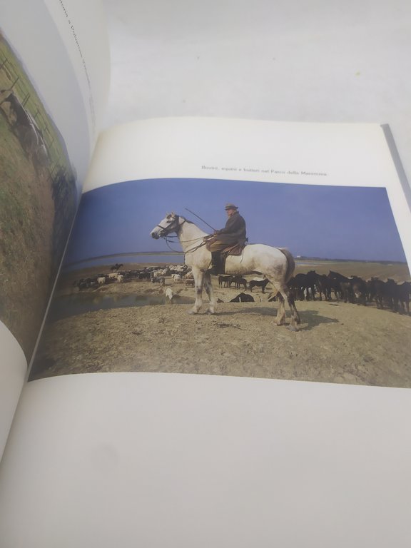 passaggio in maremma 200 immagini casa editrice il mio amico