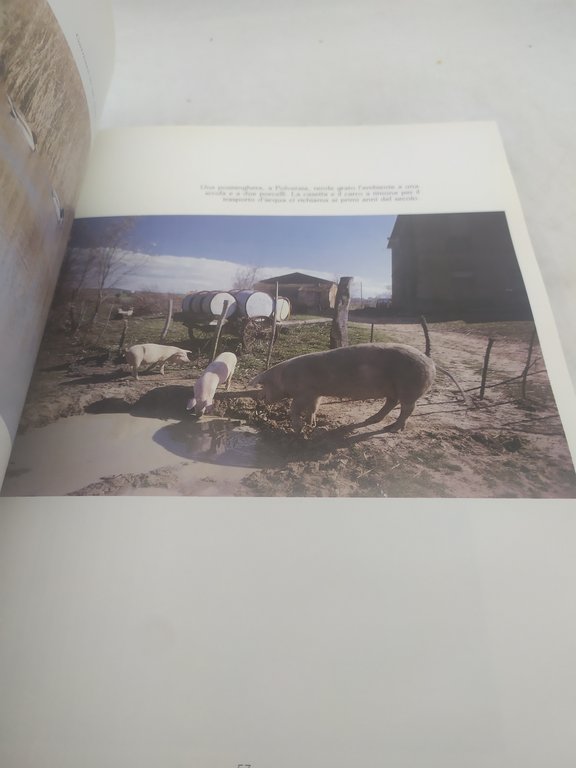 passaggio in maremma 200 immagini casa editrice il mio amico