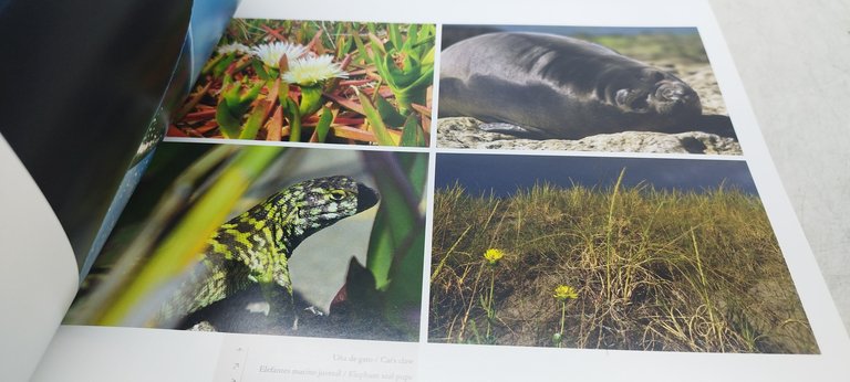 patagonia tierra de aventras fopografias de alberto patrian nadia patrian