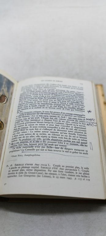 paul gèroudet les palmipèdes les beautès de la nature