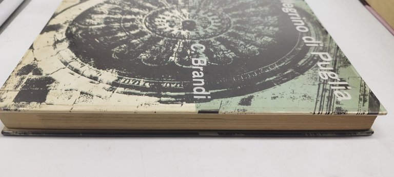 pellegrino di puglia