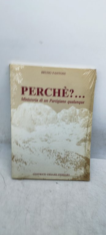 perchè ministoria di un partigiano qualunque chiuso ancora