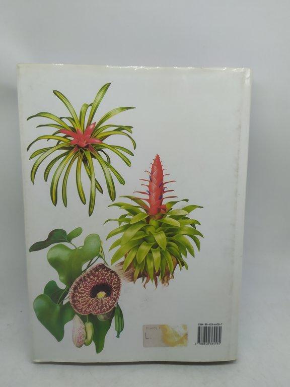 piante per la casa 225 illustrazioni a colori fratelli melita …